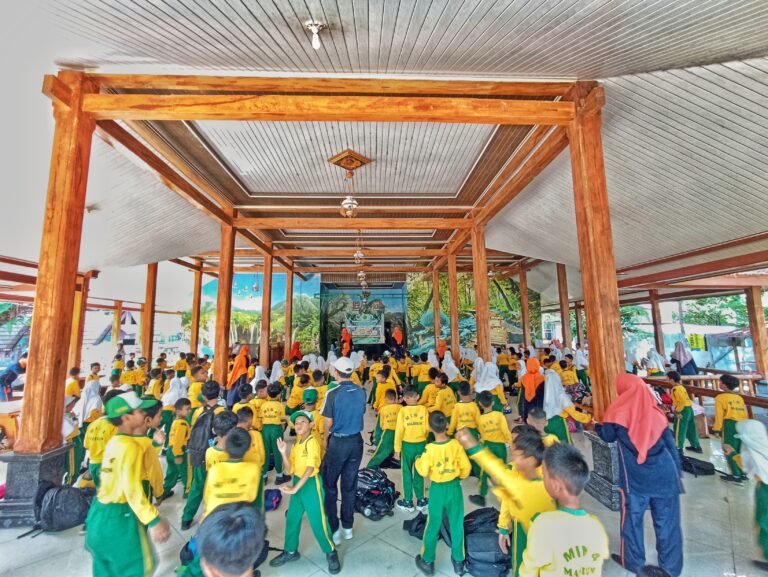 IMG_20241105_085715-01