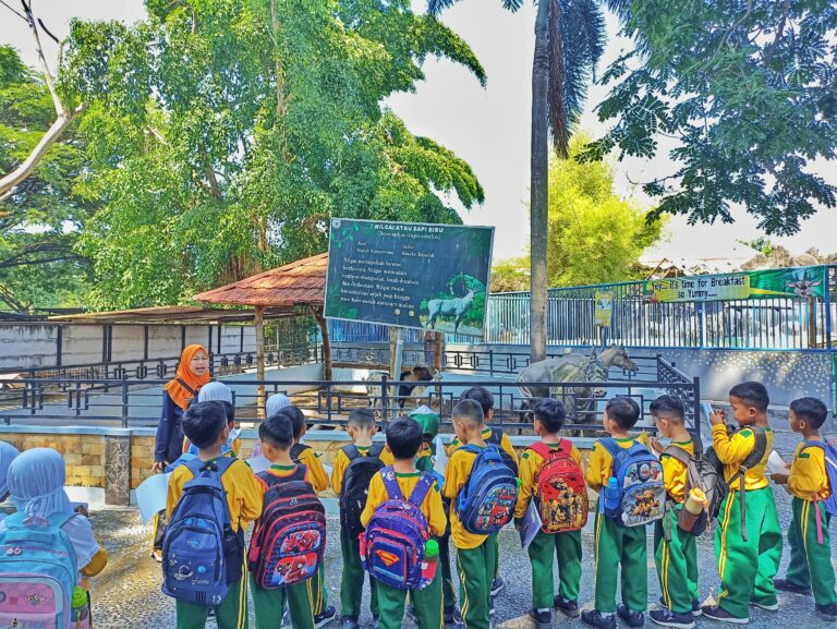 IMG_20241105_091612-01