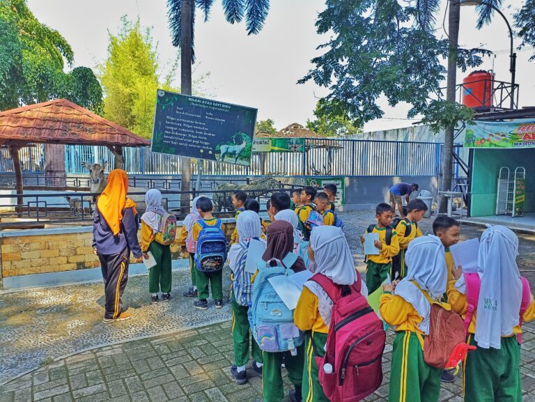 IMG_20241105_091649-01