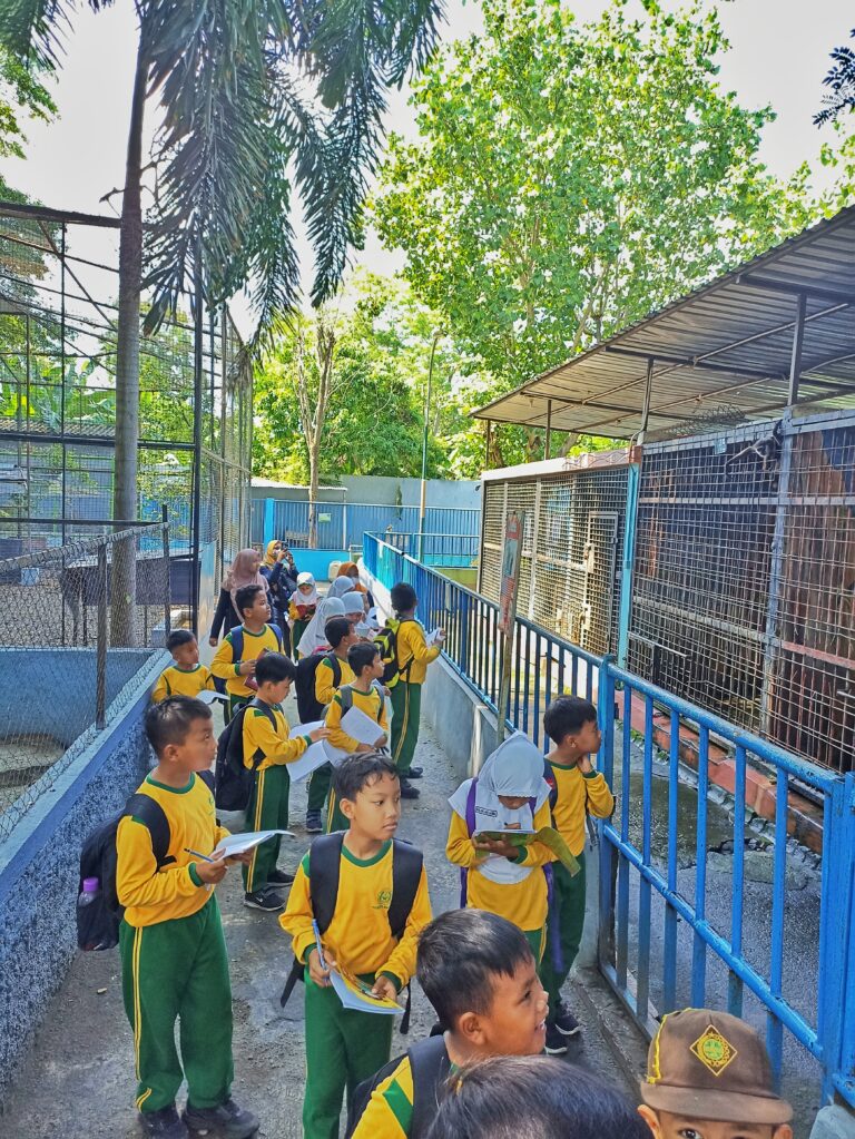 IMG_20241105_092139-01