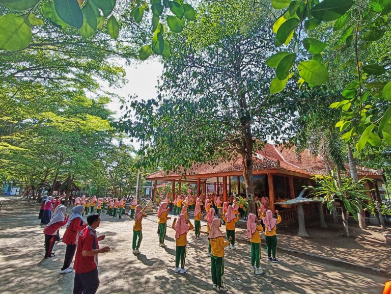 IMG_20241106_084122-01