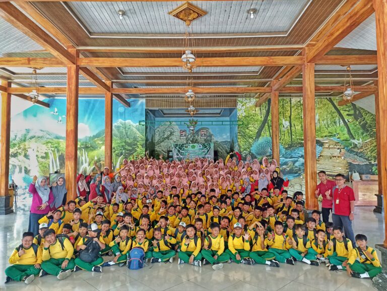 IMG_20241106_091916-01