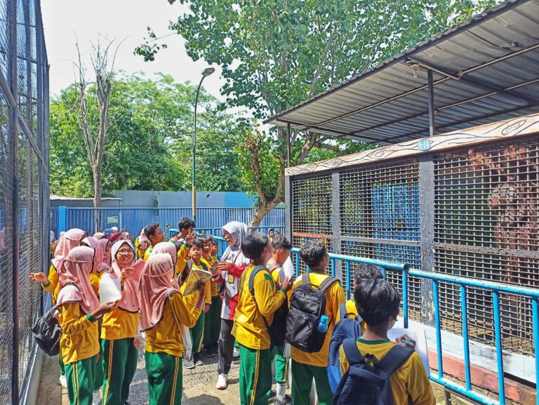 IMG_20241106_092808-01