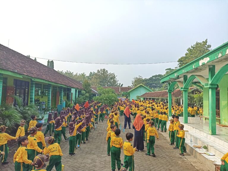 IMG_20241123_070849-01